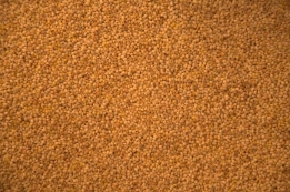 Red Manna